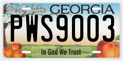 GA license plate PWS9003
