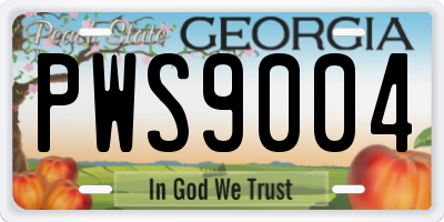 GA license plate PWS9004