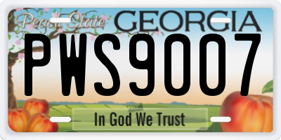 GA license plate PWS9007