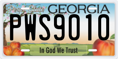 GA license plate PWS9010