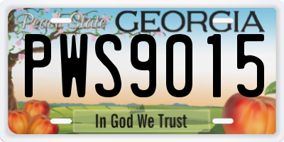 GA license plate PWS9015