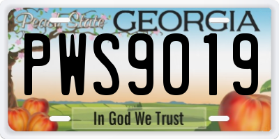 GA license plate PWS9019