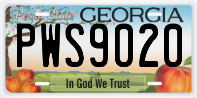 GA license plate PWS9020