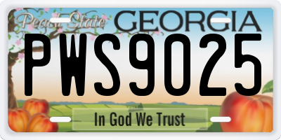 GA license plate PWS9025