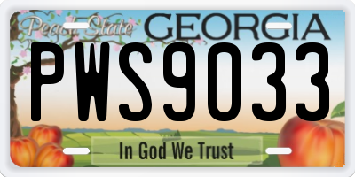 GA license plate PWS9033