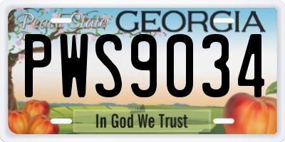 GA license plate PWS9034