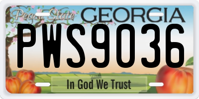 GA license plate PWS9036