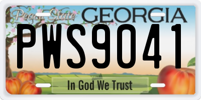 GA license plate PWS9041