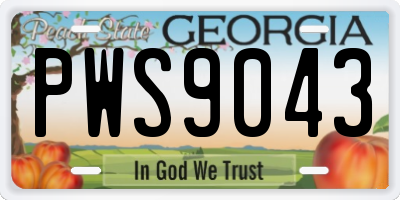 GA license plate PWS9043