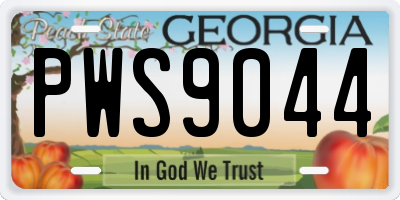 GA license plate PWS9044