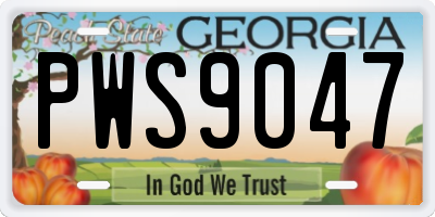 GA license plate PWS9047
