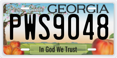 GA license plate PWS9048