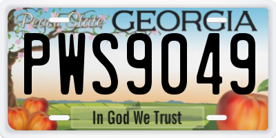 GA license plate PWS9049