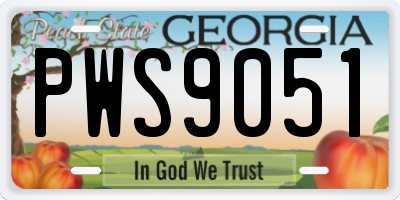 GA license plate PWS9051