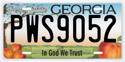 GA license plate PWS9052