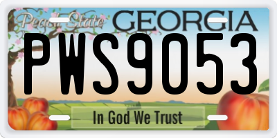 GA license plate PWS9053