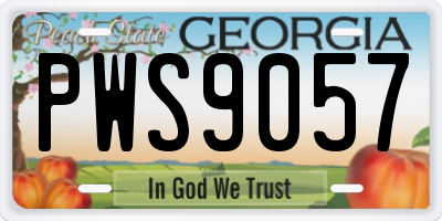 GA license plate PWS9057