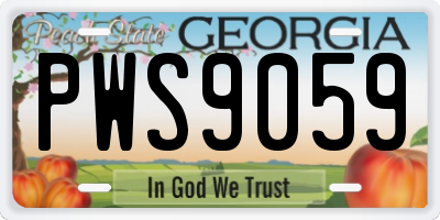 GA license plate PWS9059