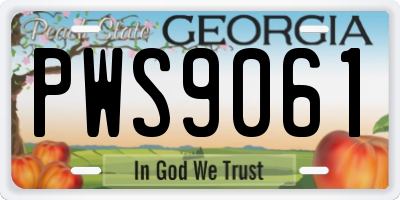 GA license plate PWS9061
