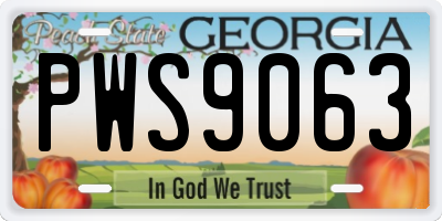 GA license plate PWS9063