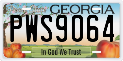 GA license plate PWS9064