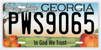 GA license plate PWS9065