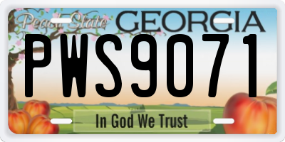 GA license plate PWS9071