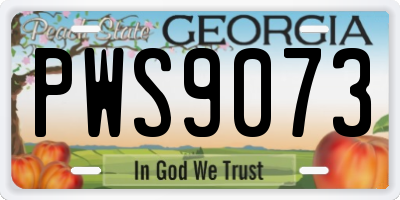 GA license plate PWS9073