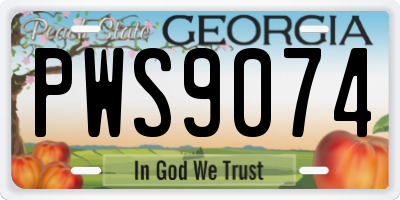 GA license plate PWS9074