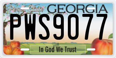 GA license plate PWS9077