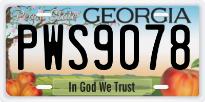 GA license plate PWS9078