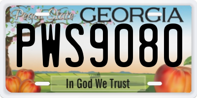 GA license plate PWS9080