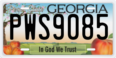 GA license plate PWS9085