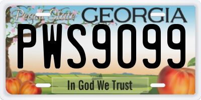 GA license plate PWS9099