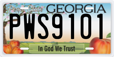 GA license plate PWS9101