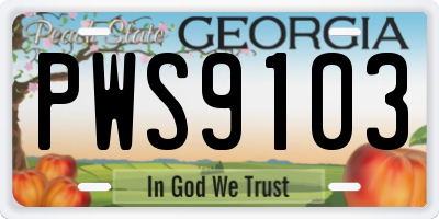 GA license plate PWS9103