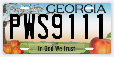 GA license plate PWS9111