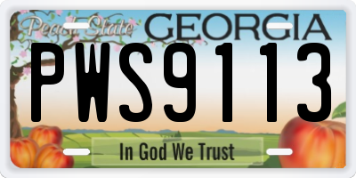 GA license plate PWS9113