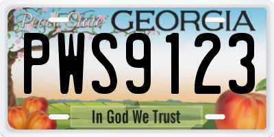 GA license plate PWS9123