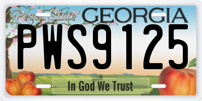 GA license plate PWS9125