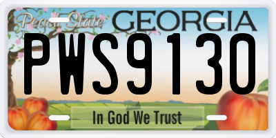 GA license plate PWS9130