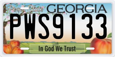 GA license plate PWS9133