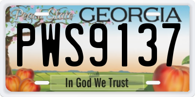 GA license plate PWS9137
