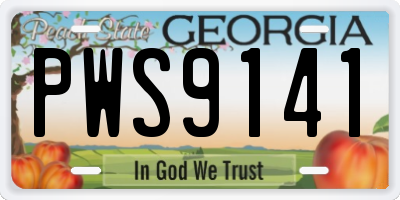 GA license plate PWS9141