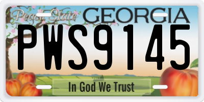 GA license plate PWS9145