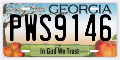 GA license plate PWS9146