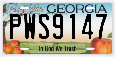 GA license plate PWS9147