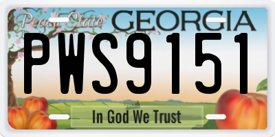 GA license plate PWS9151