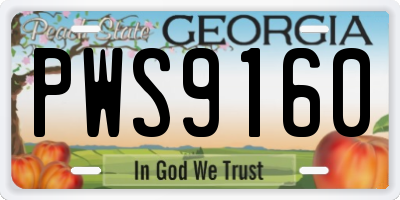 GA license plate PWS9160
