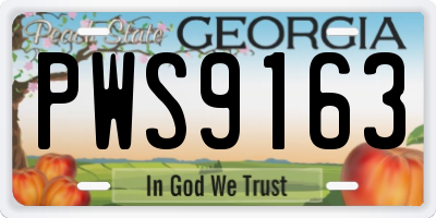 GA license plate PWS9163